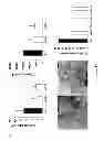Fig. 19 - Compositions and Methods for the Generation of Disease Resistant Crops