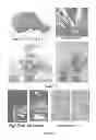 Fig. 02 - Plants with useful traits and related methods