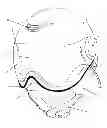 Fig. 01 - VENTILATED EYE SHIELD FOR SKI HELMET