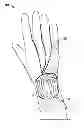 Fig. 01 - Self-wetting surgical glove