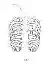Fig. 07 - Article of clothing