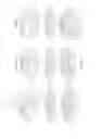 Fig. 08 - Urinal Screen