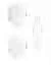 Fig. 09 - Urinal Screen