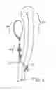 Fig. 07 - Scarf zipper