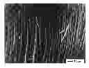 Fig. 01 - METHOD FOR PREPARING MICRO STRAIGHT PZT PIEZOELECTRIC FIBER ARRAY