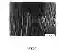 Fig. 04 - METHOD FOR PREPARING MICRO STRAIGHT PZT PIEZOELECTRIC FIBER ARRAY