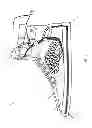 Fig. 02 - ILLUMINATED SHOE
