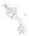 Fig. 02 - Sighting device replicating shotgun pattern spread