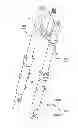 Fig. 01 - AIR SHOCK ABSORBER AND STRADDLE-TYPE VEHICLE