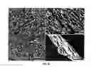 Fig. 17 - Ice-Tempered Hybrid Materials
