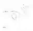 Fig. 07 - Pet leash assembly