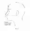 Fig. 45 - Ergonomic and adjustable respiratory mask assembly with cushion