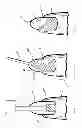 Fig. 02 - Method for nail manicuring