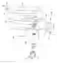 Fig. 06 - INTEGRATED BLOWING DEVICE