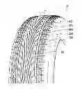 Fig. 01 - TIRE