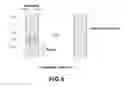 Fig. 07 - Method for manufacturing manifold for fuel cell