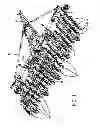 Fig. 02 - Seeding implement depth adjustment mechanism