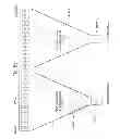 Fig. 08 - Multi-head weighting apparatus