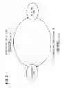 Fig. 04 - Driving-power control device for vehicle