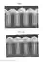 Fig. 02 - ELECTROLYTIC COPPER PLATING SOLUTION FOR FILLING FOR FORMING MICROWIRING OF COPPER FOR ULSI