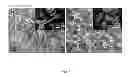 Fig. 08 - Highly porous ceramic material and method of using and forming same