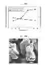 Fig. 20 - High capacity perchlorate-selective resins from hyperbranched macromolecules