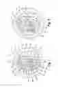 Fig. 02 - Beverage container lid with mouth opening and separate push in vent