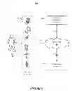 Fig. 02 - Quick response (QR) secure shake