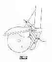 Fig. 13 - Wood chip collection system