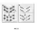 Fig. 20 - Characterization of nanoscale structures using an ultrafast electron microscope