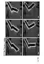 Fig. 35 - Characterization of nanoscale structures using an ultrafast electron microscope