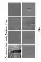 Fig. 37 - Characterization of nanoscale structures using an ultrafast electron microscope