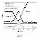 Fig. 43 - Characterization of nanoscale structures using an ultrafast electron microscope