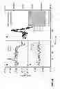 Fig. 46 - Characterization of nanoscale structures using an ultrafast electron microscope