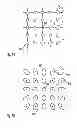 Fig. 09 - Particle-optical systems and arrangements and particle-optical components for such systems and arrangements