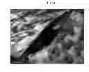 Fig. 06 - Positive electrode active material precursor for lithium secondary battery, positive electrode active material manufactured by using thereof, and lithium secondary battery including same