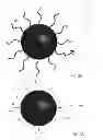 Fig. 04 - Surface chemical modification of nanocrystals