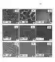 Fig. 14 - Surface chemical modification of nanocrystals