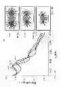 Fig. 15 - Surface chemical modification of nanocrystals