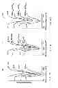 Fig. 16 - Surface chemical modification of nanocrystals