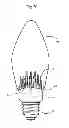 Fig. 21 - LED lamp