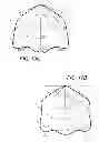 Fig. 08 - LED DOME WITH IMPROVED COLOR SPATIAL UNIFORMITY