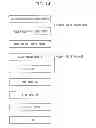 Fig. 12 - Light-emitting apparatus