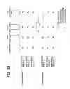Fig. 09 - SEMICONDUCTOR DEVICE AND A METHOD OF MANUFACTURING THE SAME