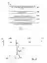 Fig. 02 - Method of Forming Natural Fiber Polymer Article