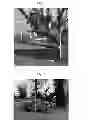 Fig. 02 - SHOW JUMPING COMPETITION