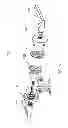 Fig. 07 - CONCEALED FASTENER LOCKSET