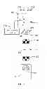 Fig. 04 - Power Distribution System and Power Distribution Unit