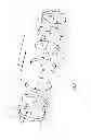 Fig. 04 - BUSBAR THAT CAN BE INTEGRATED INTO AN ELECTRIC MOTOR