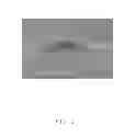 Fig. 04 - Field emission cathode device and field emission equipment using the same